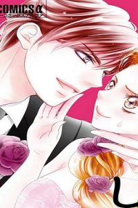 結婚しましょう、恋する前に (Raw – Free)