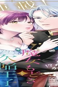 魔女もどきと欠陥王子の結婚事情 (Raw – Free)