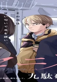 サラセニア (Raw – Free)