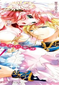 新婚なのに旦那様が素敵すぎて困りますっ!!～溺愛王子と甘い蜜月～ (Raw – Free)