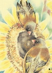 とりぱん (Raw – Free)